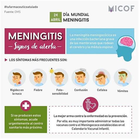 Hoy Día Mundial De La Meningitis Os Recordamos Los Síntomas Para Una