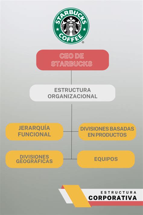 Organigrama De Starbucks Estructura Organizacional The Best Porn Website