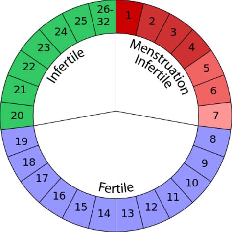 Fertility Calendar Bulk Bill Au