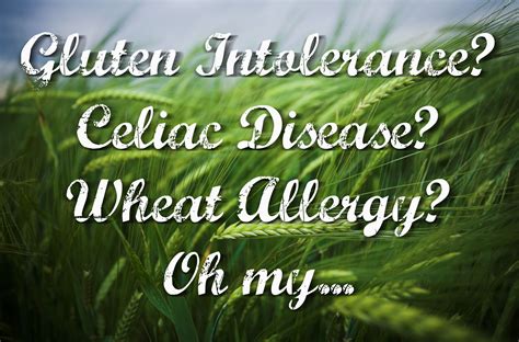 The Difference Between Gluten Intolerance Celiac Disease And Wheat