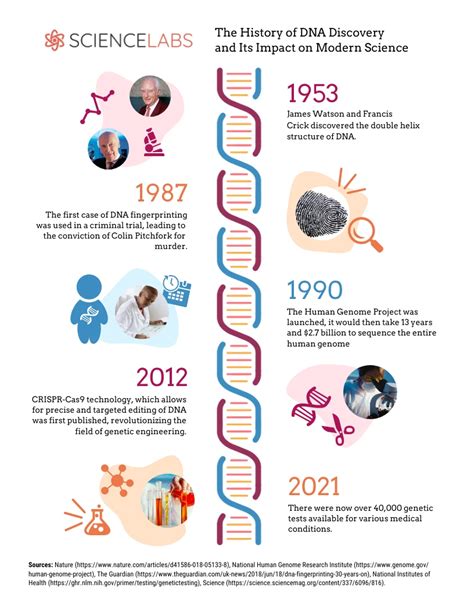 The History Of Dna Discovery And Its Impact On Modern Science Venngage