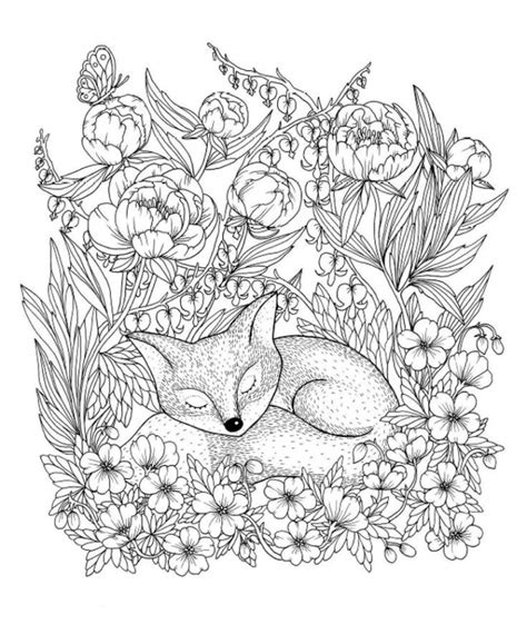Fox Coloring Pages For Adults Fox Coloring Color Kids Print Pages