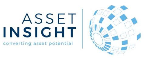 Logo Asset Insight Incaa Computers