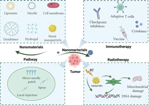 Frontiers Effective Combinations Of Immunotherapy And Radiotherapy