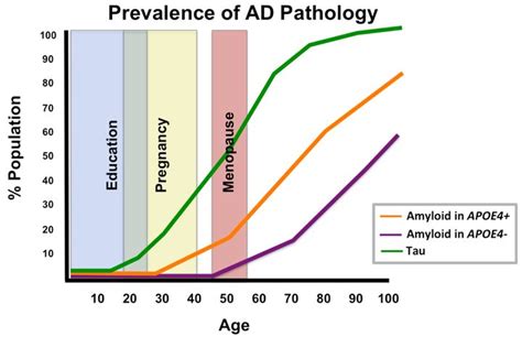 to understand sex differences in alzheimer s disease we need to understand risk factors across
