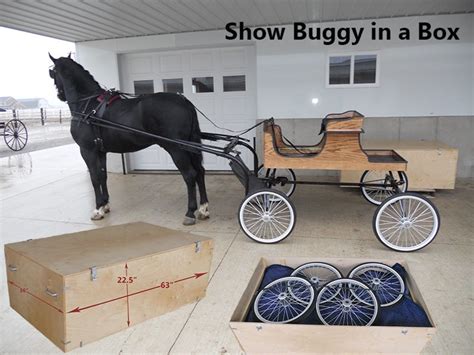 Show Horse Buggy In A Box Collapsible Buggy Complete With Travel Crate