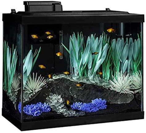 Best Tank For Guppies Reviews And Buyers Guide
