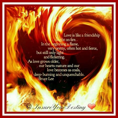 Love Is Like A Friendship Caught On Fire In The Beginning A Flame Very Pretty Hot And Fierce