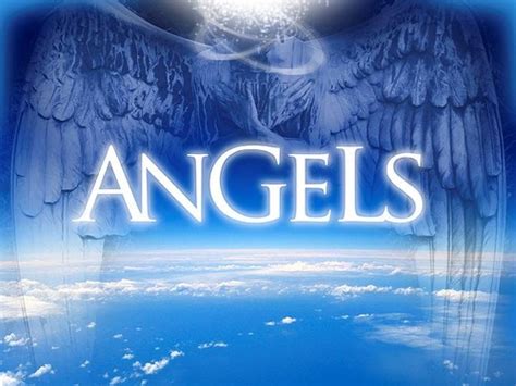 Angel Of Heaven Angelbirds Photo 32266536 Fanpop