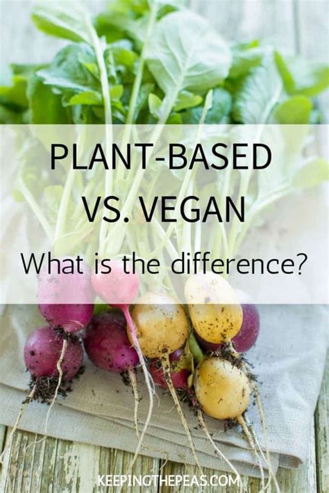Plant Based Vs Vegan Whats The Difference Keeping The Peas