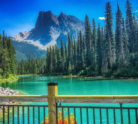 Emerald Lake Yoho National Park 2022 What To Know Before You Go