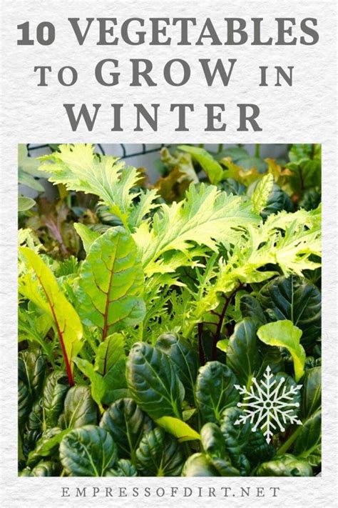 10 Vegetables That Grow In Winter If You Start Early Empress Of Dirt