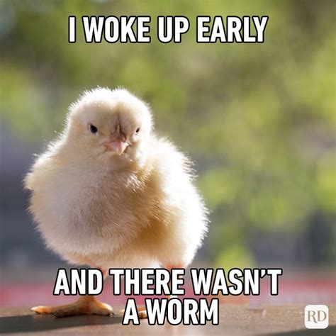 30 Good Morning Memes For A Good Laugh Readers Digest