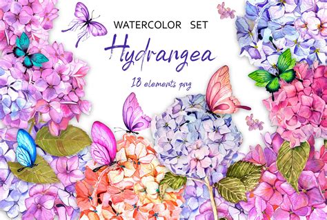 Hydrangea Garden Watercolor Clipart Graphic by ElenaZlataArt · Creative ...