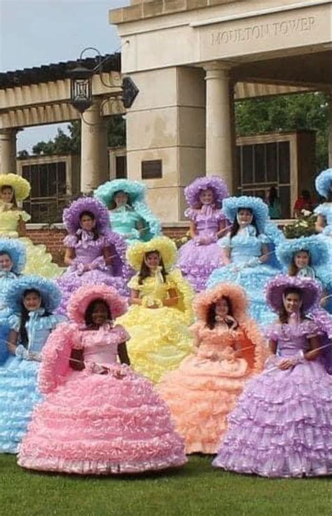 Azalea Trail Maids Cute Dresses Beautiful Dresses Southern Belle Dress Hoop Skirt Maid
