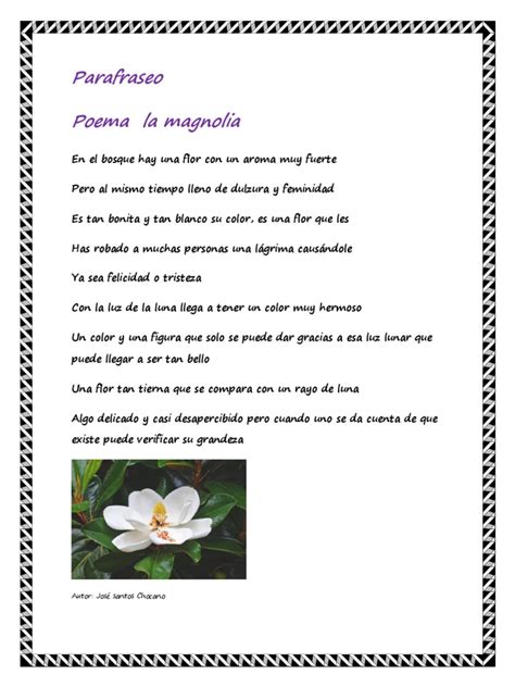 Parafraseo Poema La Magnolia Autor José Santos Chocano