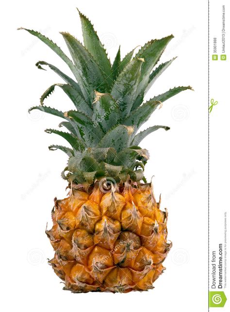 Ripe Small Pineapple Royalty Free Stock Photos - Image: 35901888