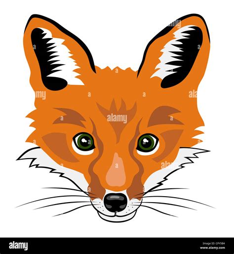 Illustration Of Fox Head Cartoon Style Stock Photo Alamy