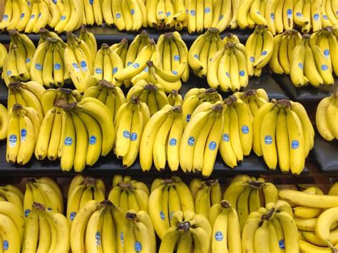 Are Our Beloved Bananas Really On The Brink Of Extinction Brightly