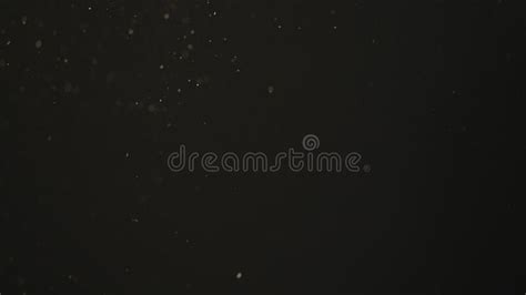 202 Dust Particles Sunlight Stock Photos Free And Royalty Free Stock