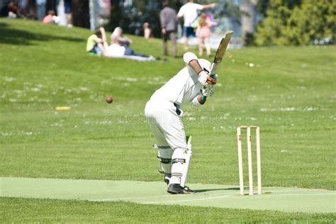 Cricket Images Free Download Woodslima