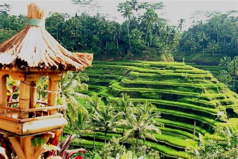 Desa Wisata Terbaik Di Indonesia Diberkahi Keindahan Alam