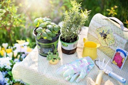 12 trucos de jardinería para novatos Jardineria On
