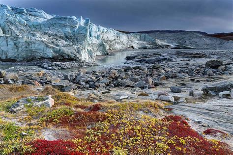 Greenlands Ice Sheet Is Releasing Huge Amounts Of Mercury Into Rivers