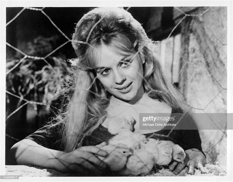 Ghita Norby With Chicks In A Scene From The Film Crazy Paradise News Photo Getty Images