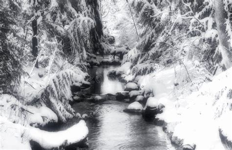 Small Creek After Snow Storm Stock Image Image Of Looking Serene