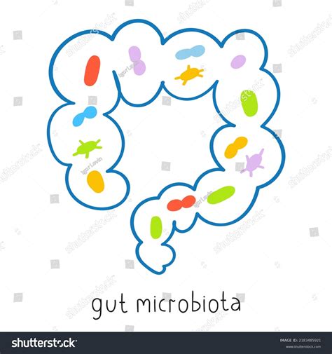 Gut Microbiota Outline Vector Illustration On Stock Vector Royalty
