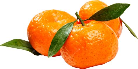 리틀 오렌지 난펑 오렌지 리틀 오렌지 감귤 Png 일러스트 및 이미지 에 대한 무료 다운로드 Pngtree