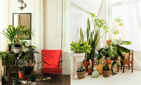 But when considering plants in a room's design, there are a few things to take into account. 7 Different Way to Indoor Plants Decoration Ideas in ...