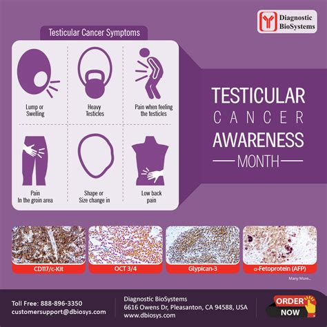 Testicular Cancer Awareness Month Diagnostic Biosystems Advanced