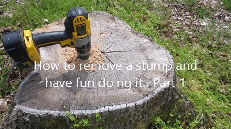 Easy Way To Remove Tree Stumps Part 1 Youtube