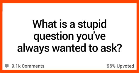 15 people confess their stupid questions they ve always wanted to ask