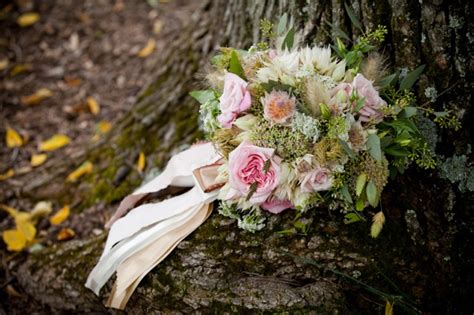 Был выведен в японии в 1997 году. blushing bride protea. Holly Chapple blushing bride protea ...