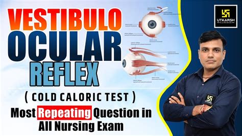 Vestibulo Ocular Reflex Vor Explained Most Repeating Question