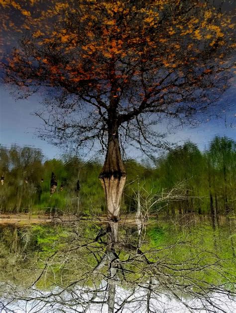 This Picture Was Taken Upside Down Ropticalillusions