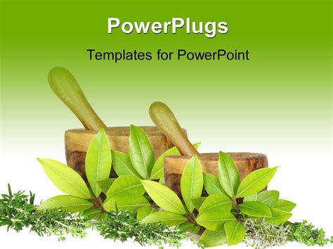 Powerpoint Template Fresh Herb Selection Of Rosemary Golden Bay Silver And Common Thyme Leaves
