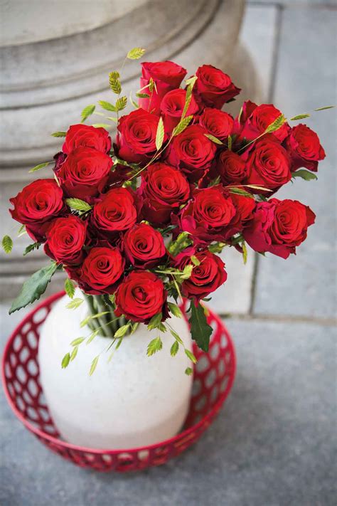 7 Best Red Roses Varieties For 2020 As Rated By Florists Eagle Link