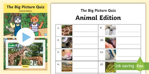 Animal Picture Quiz With Answers Printable Animal Quiz