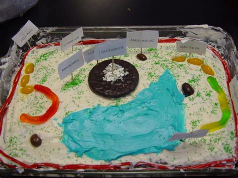 How the study of cells became an engineering project: NYLearns.org - Edible Cell