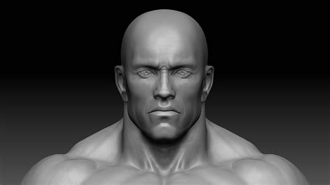 D Model Muscular Male Body Vr Ar Low Poly Obj Fbx Ztl Cgtrader