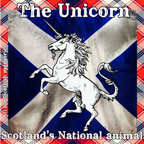The Unicorn Scotlands National Animal Scotland History