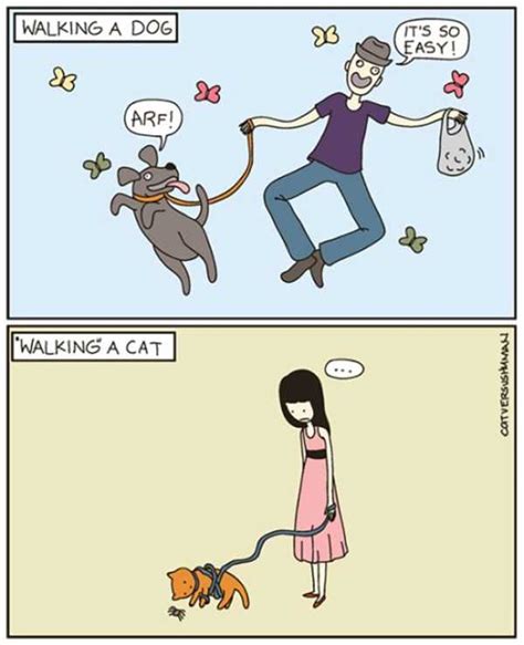 25 Illustrations Showing The Differences Between Cats And Dogs Klykercom