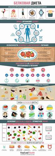 Диета белковые питание Пин от пользователя Кривошеина Татьяна Вадимовна на доске Нутрициология Пин от пользователя Кривошеина Татьяна Вадимовна на доске Нутрициология Диета белковые питание