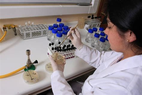 Nueva Acreditación En Microbiología De Alimentos Del “laboratorio Para