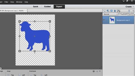 How To Fill A Shape Gradient In Photoshop Elements Photoshop Elements