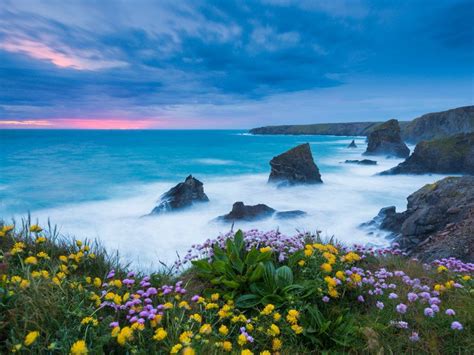 Wildflowers Cornwall England Wild Flowers Scenery Nature Pictures